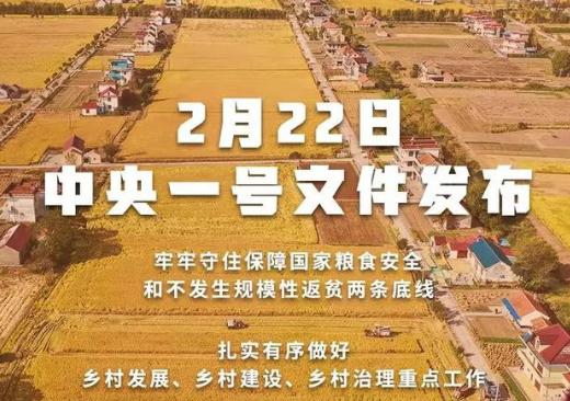重磅！2022年中(zhōng)央一号文(wén)件發布